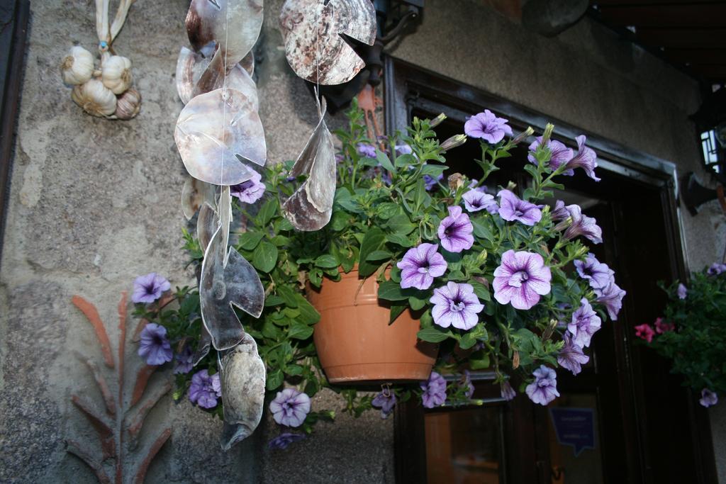 Assos Bohemian Hotel Exterior photo