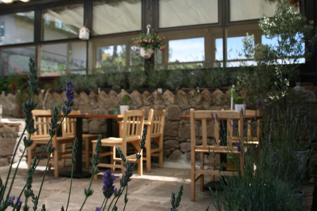 Assos Bohemian Hotel Exterior photo