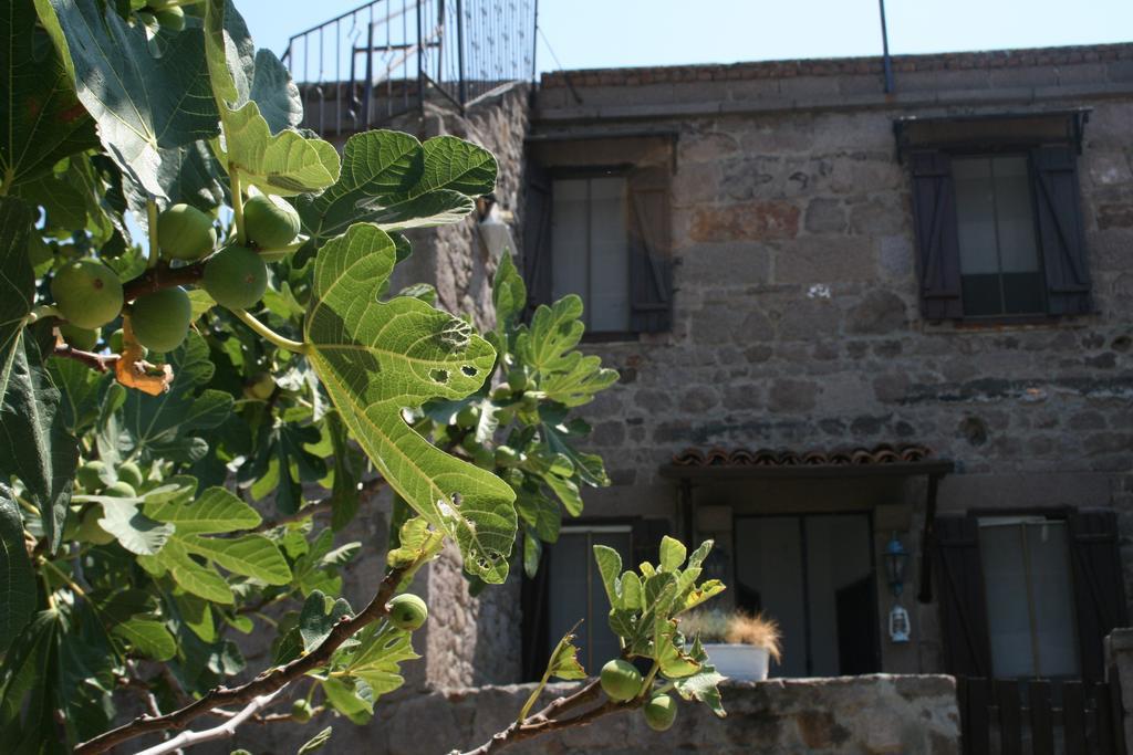 Assos Bohemian Hotel Exterior photo